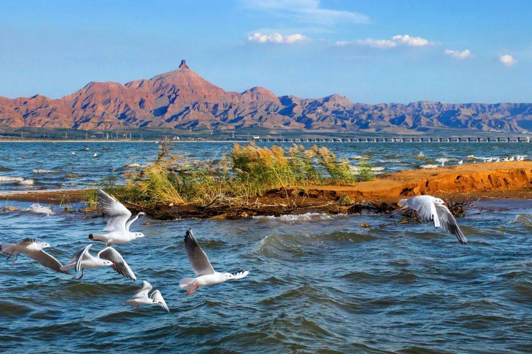 乌海牧歌，探寻岁月长河中的神秘魅力